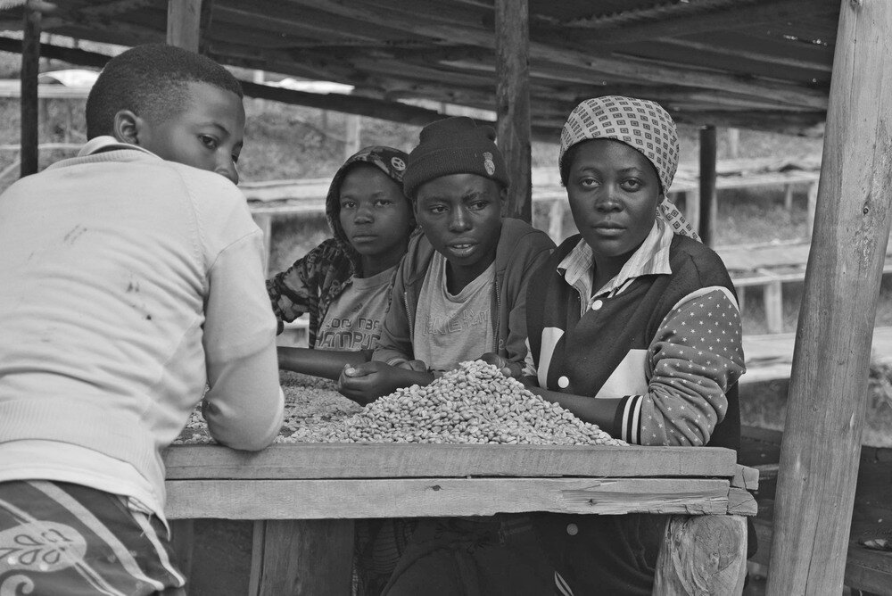 Four women are gathered around piles of coffee beans. Their unflinching gaze is turned towards us, confronting our spectatorship of their work.