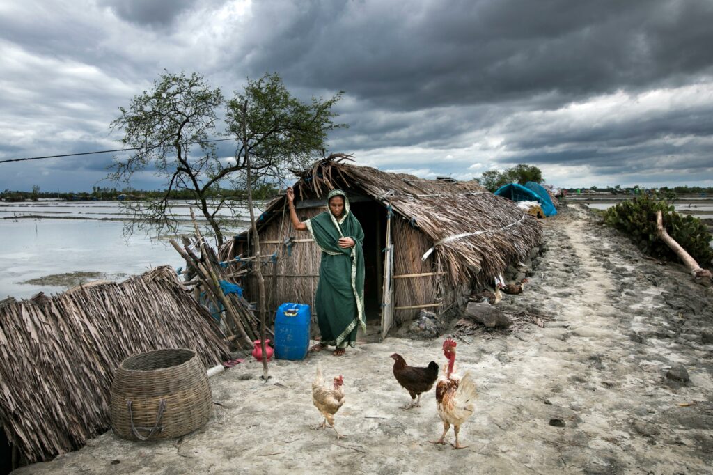 A woman tends to her chickens outside of her temporary accommodation on an embankment in Bangladesh. On one side of her a fall tree, on the other rising floodwaters. A canopy of dark clouds above creates a sense of claustrophobia and foreboding.