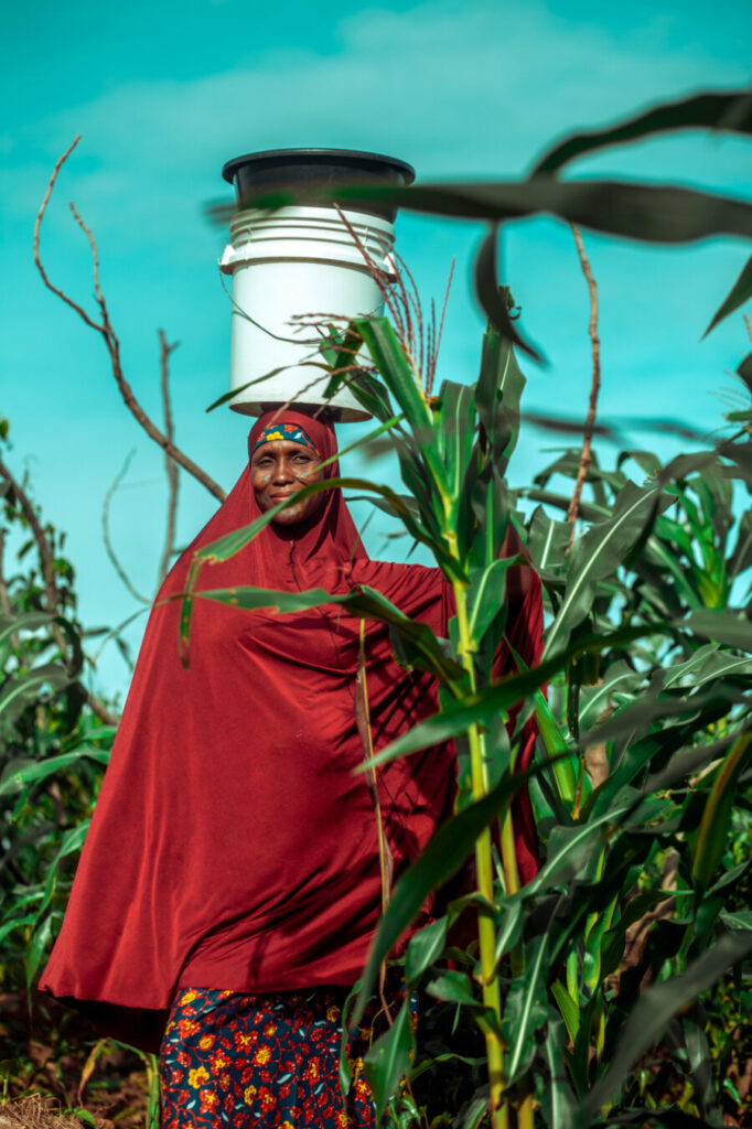 A woman hawkes Fura, a type of dough ball made from millet and a popular snack in Nigeria and Niger, in Karu, Nigeria. Framed by the tall stems of vibrant green crops and starkly backdropped by the cerulean blue sky, her figure appears elegant and graceful - the red, billowing fabric of her clothes compositionally echoing the shapes of the field around her.